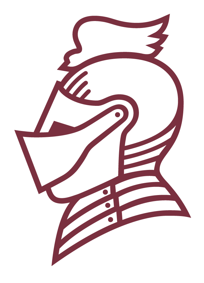 Bellarmine Knights 2010-Pres Secondary Logo iron on transfers for T-shirts